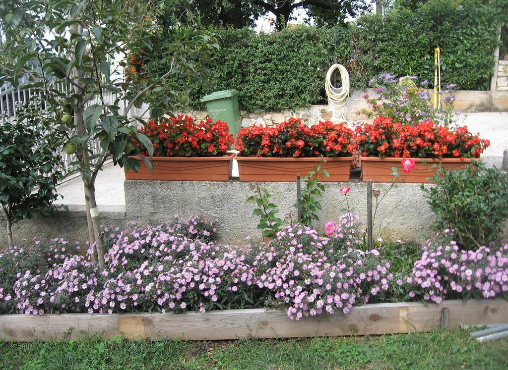Apartments Adelita Porec Ruang foto