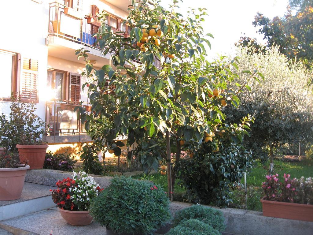 Apartments Adelita Porec Bagian luar foto