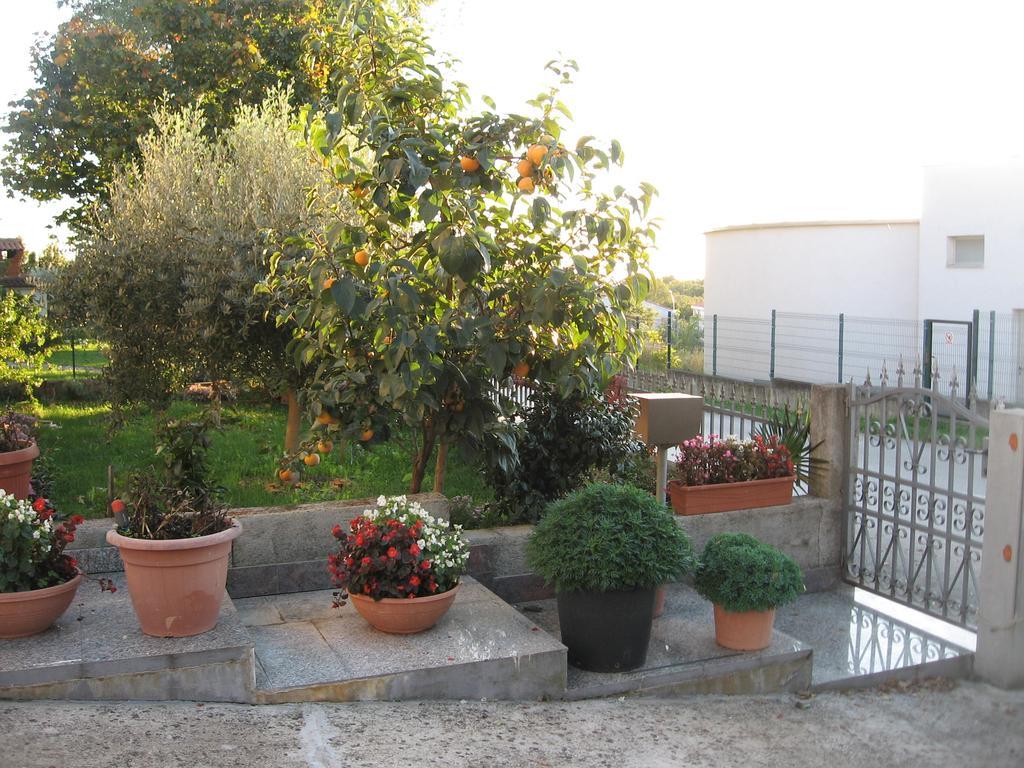 Apartments Adelita Porec Bagian luar foto